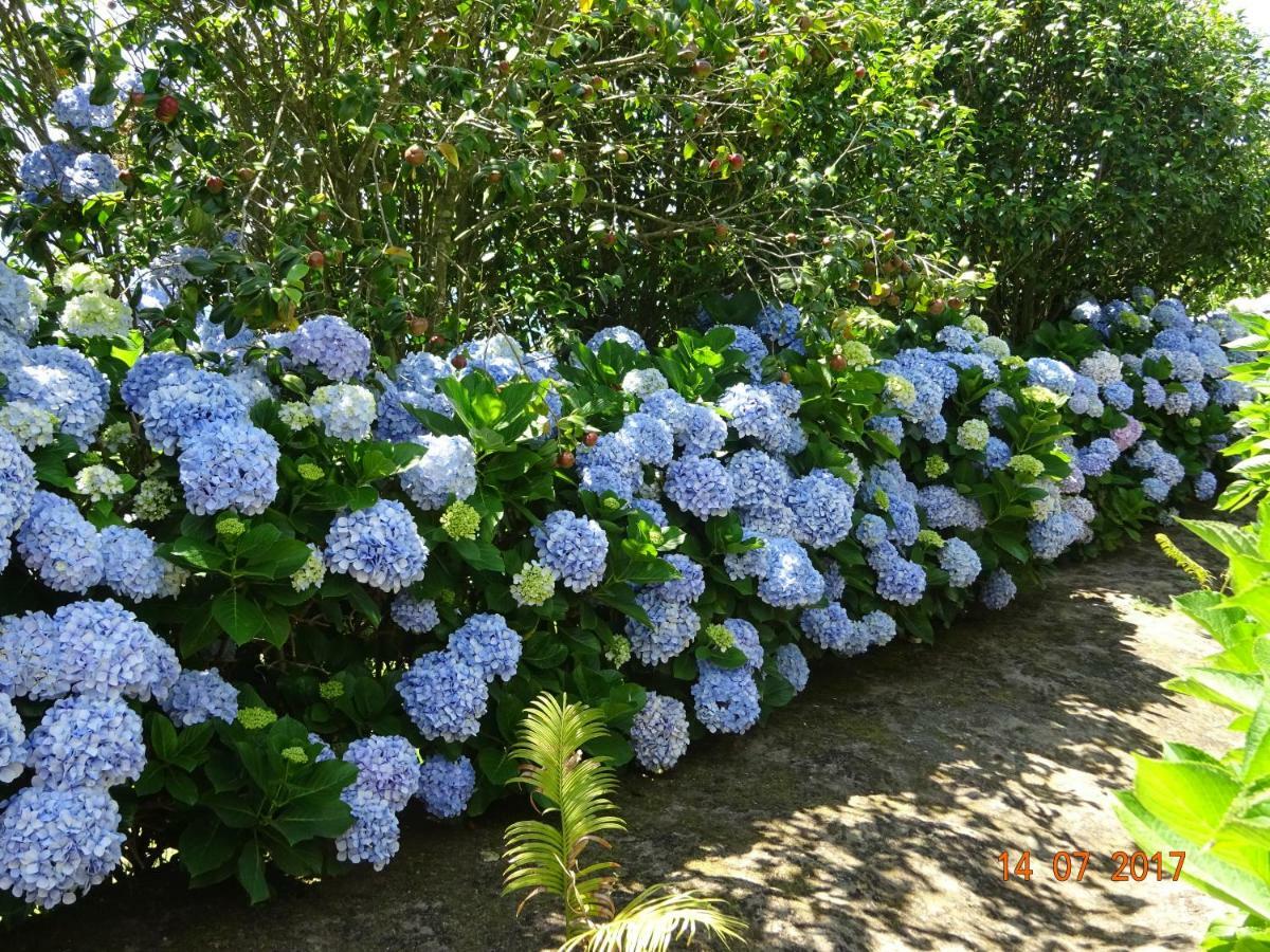Feteiras Quinta Do Sol Poenteヴィラ エクステリア 写真